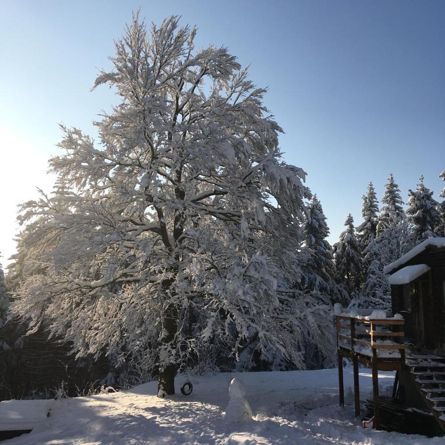 Turnovska Chata Kořenov Exterior foto